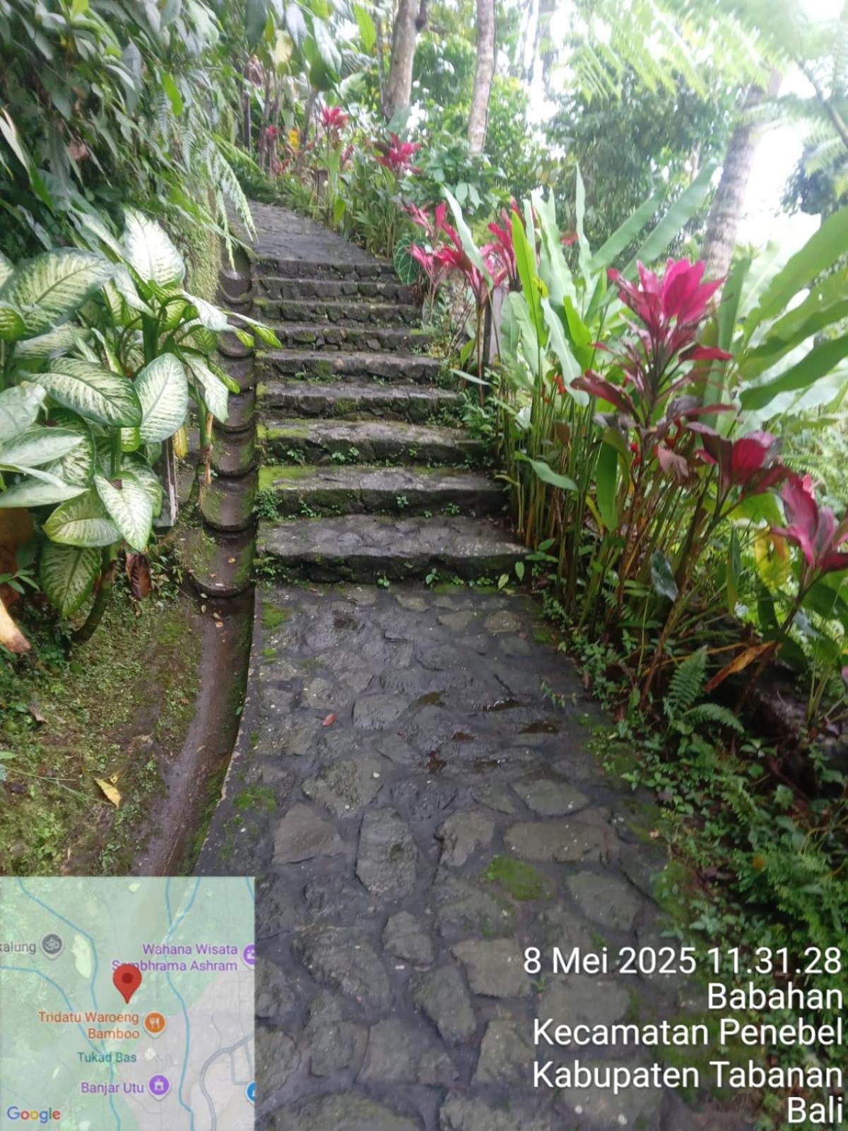 Villa Togog Penebel エクステリア 写真