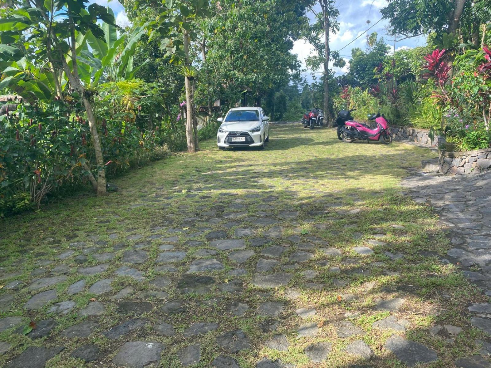Villa Togog Penebel エクステリア 写真