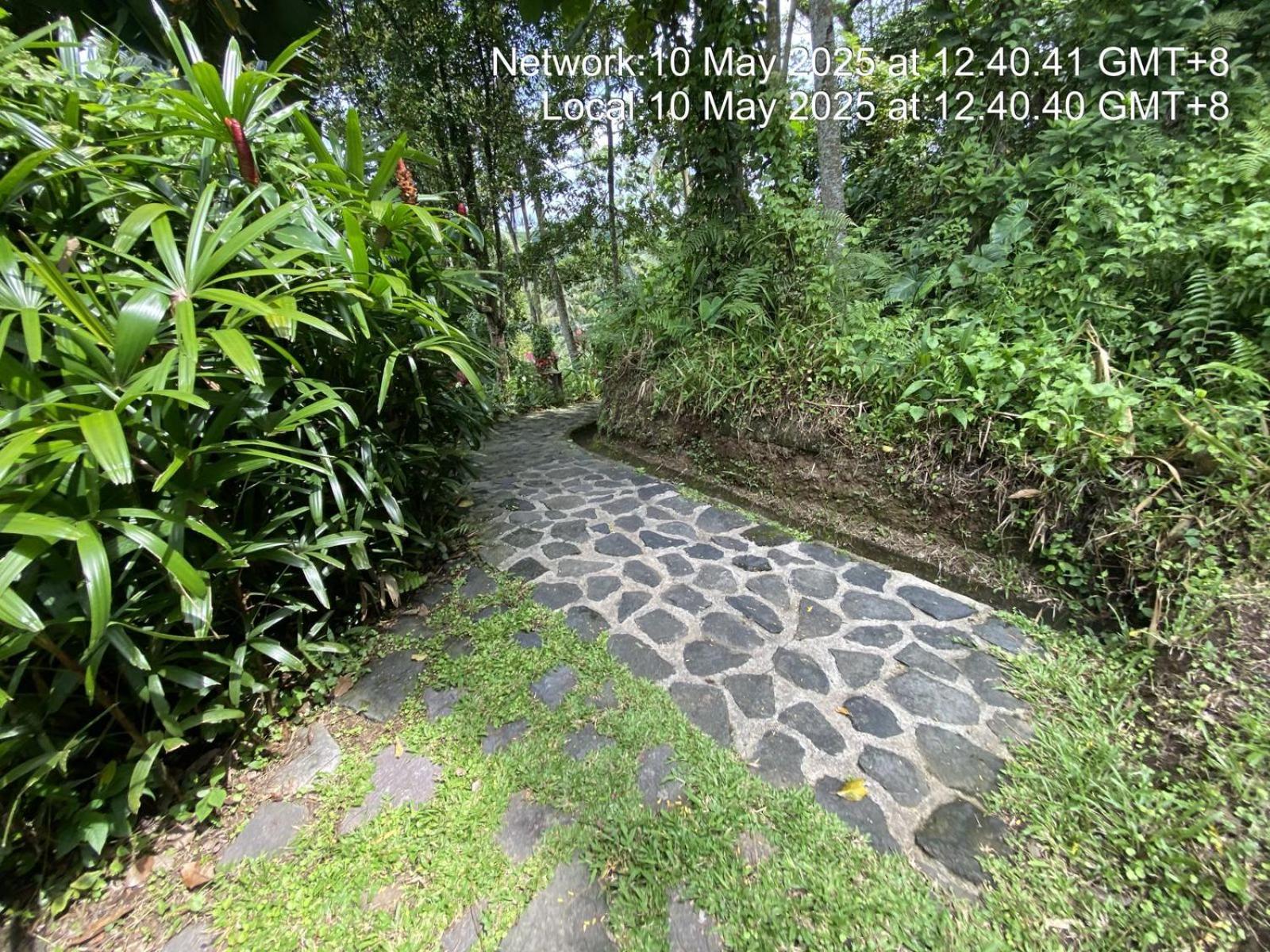 Villa Togog Penebel エクステリア 写真